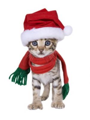 FELIZ NAVIDAD PARA TODOS